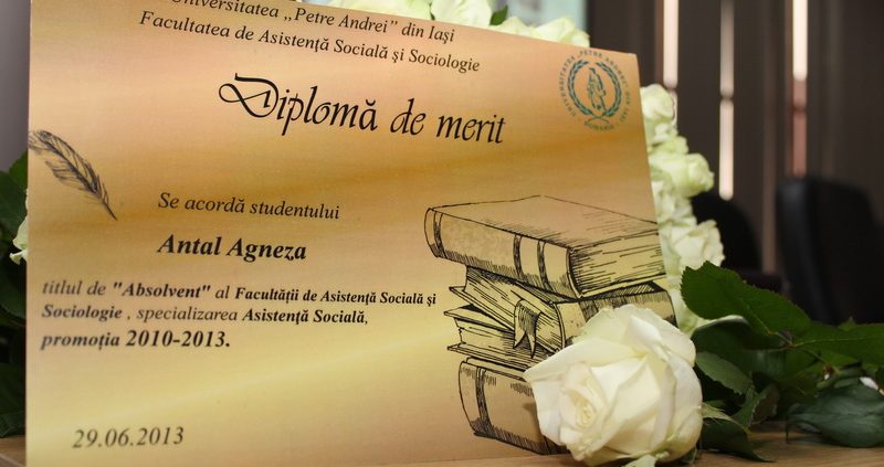 admitere 2013